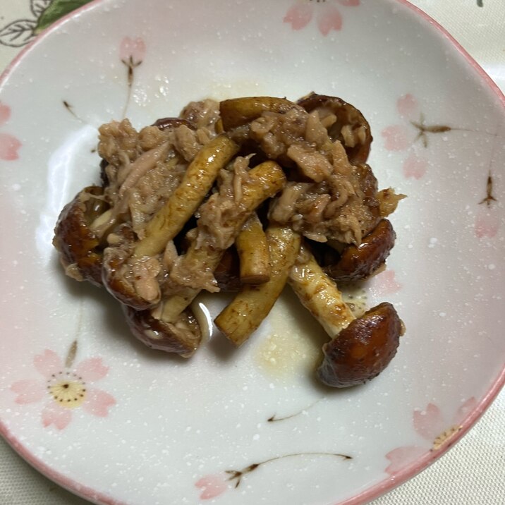 幻のキノコ「博多すぎ茸」のレンチン和洋ツナ和え!